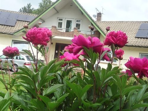Linchens Bed And Breakfast Felbridge Exterior foto